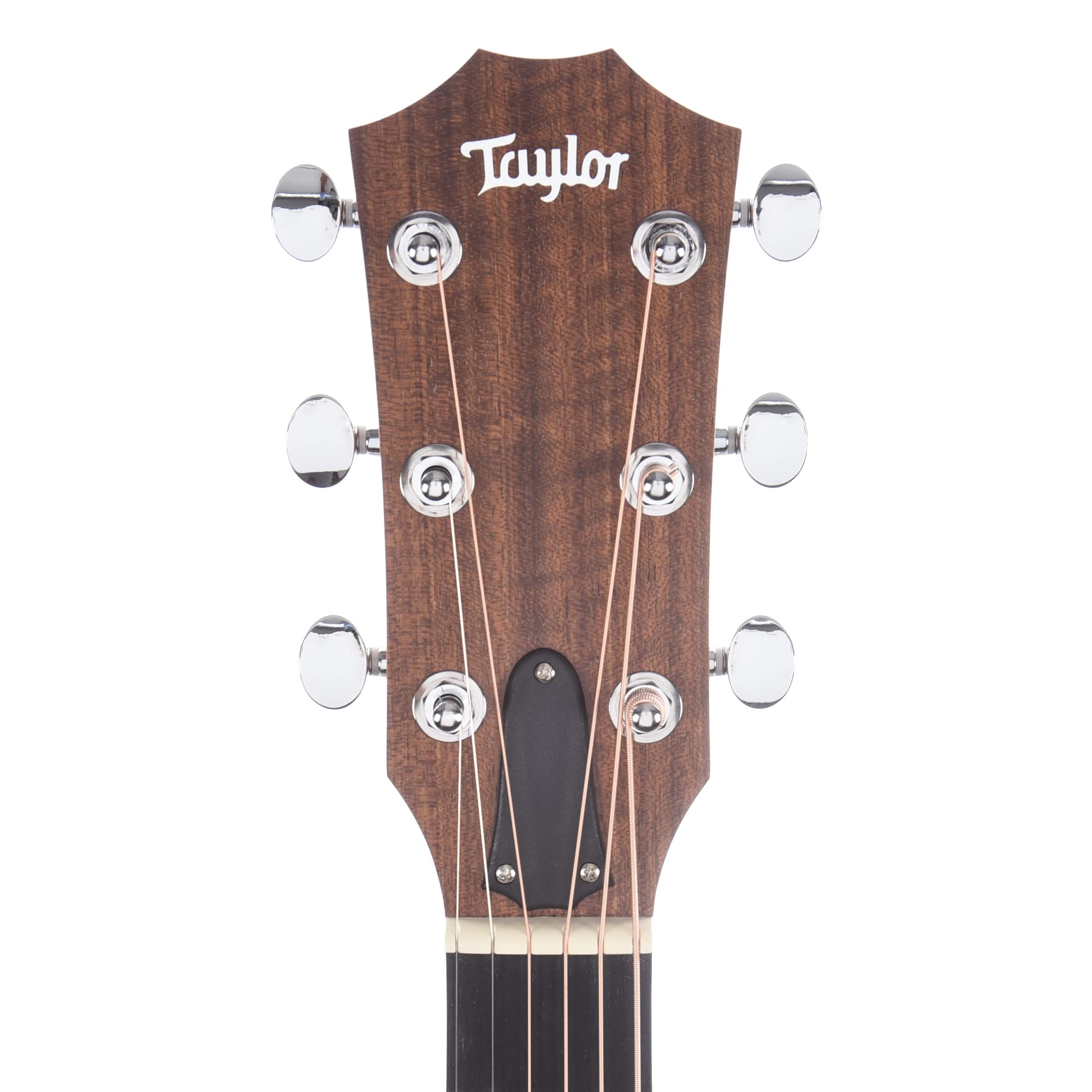 Amazon.com: Taylor Big Baby Taylor Left-handed Acoustic Guitar